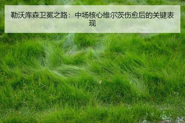 lei-wo-ku-sen-wei-mian-zhi-lu-zhong-chang-he-xin-wei-er-ci-shang-yu-hou-de-guan-jian-biao-xian-3-529.jpg