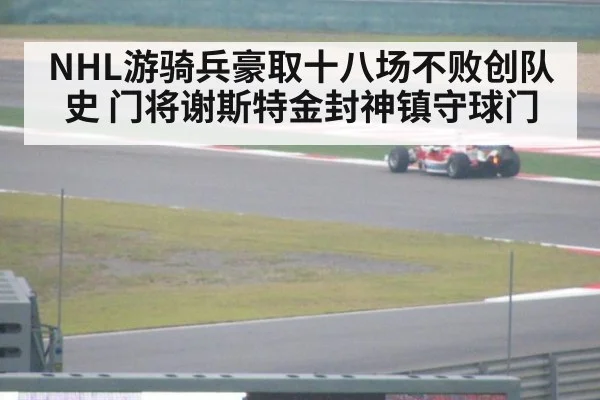 NHL游骑兵豪取十八场不败创队史 门将谢斯特金封神镇守球门